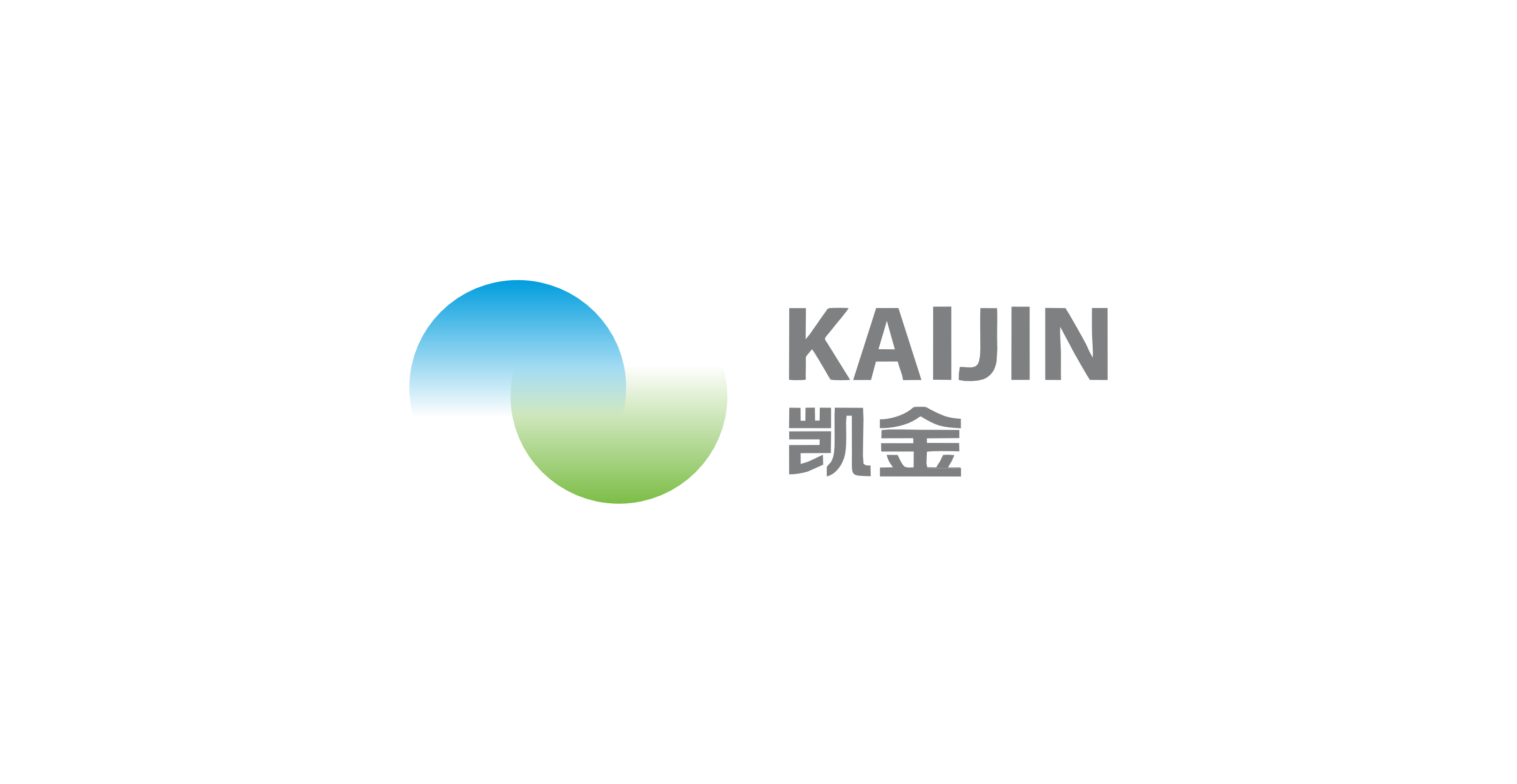 凯金新能源科技有限公司 凯金新能源科技有限公司